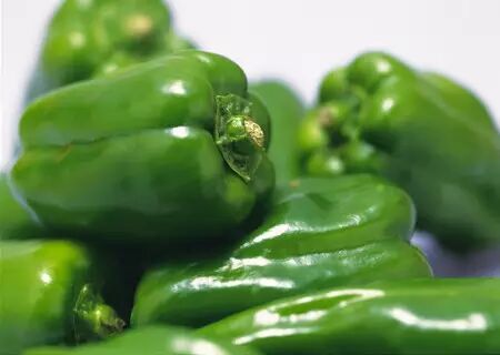 史上最全最实用的冰箱冷藏冷冻知识 收藏了