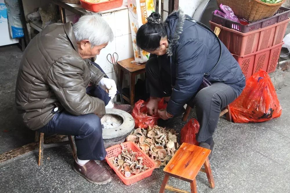 芷江县有多少人口_...省洪江、会同、芷江以及贵州省天柱三县一市,需搬迁人口(2)