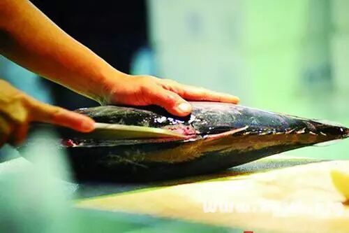 上海哪里吃海鲜好_吃海鲜喝啤酒过敏症状_晋江市哪里可以吃海鲜(2)