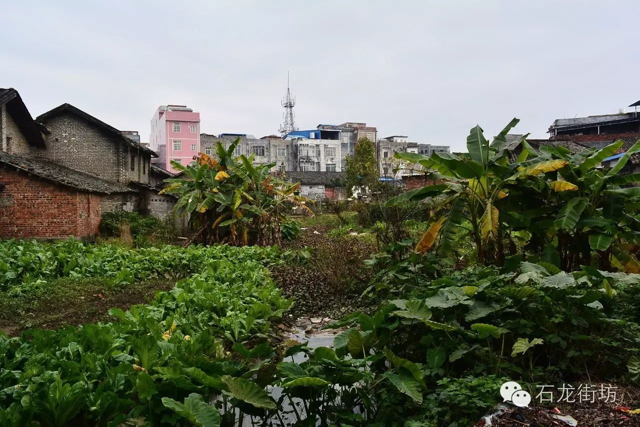 广东花县